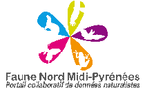 Logo base de données